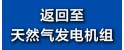 返回到天然氣發(fā)電機組.jpg
